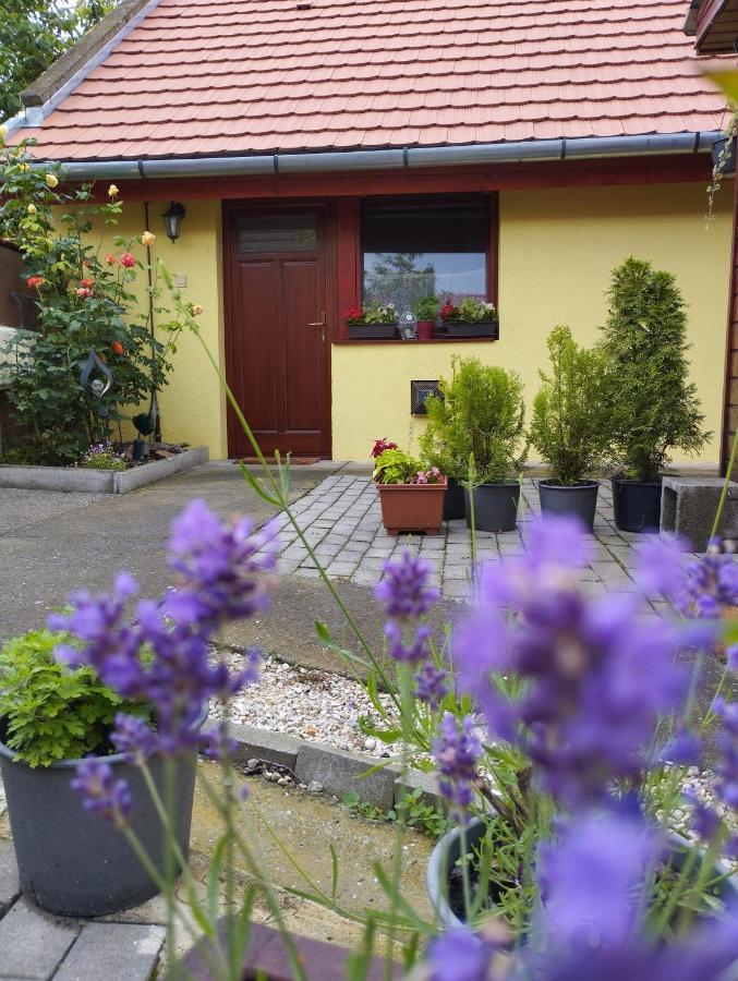 Kis Apartmanhaz Balatonfüred Exterior foto